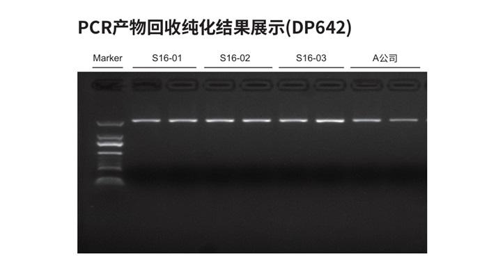 质粒DNA提取对比（DP641 vs 离心柱法）